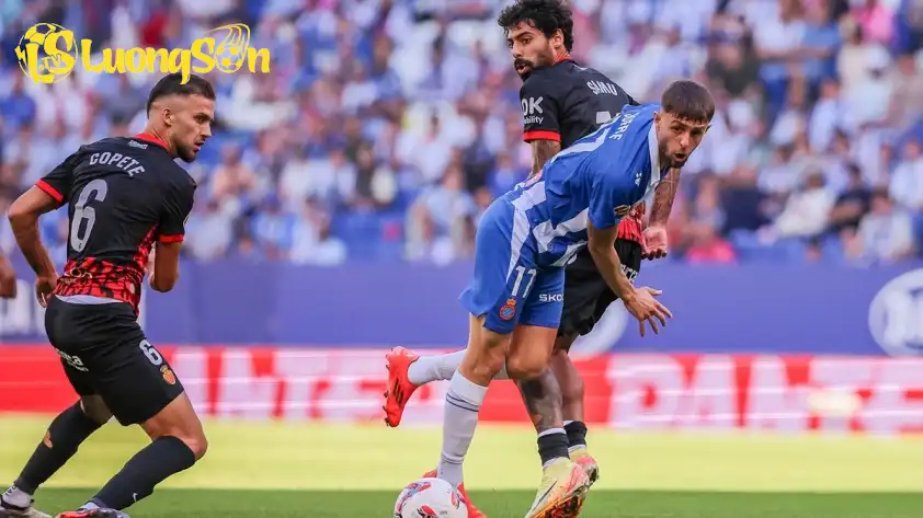 Real Oviedo và Mallorca đều muốn giành chiến thắng ở trận đấu sắp tới. (Ảnh: Internet) Real Oviedo và Mallorca đều muốn giành chiến thắng ở trận đấu sắp tới.